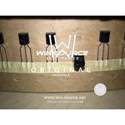 MCR100-8RLG real image