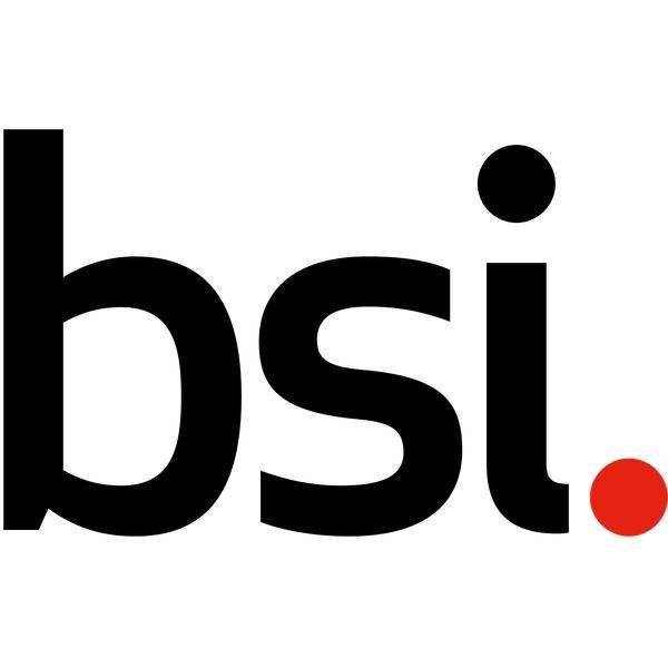BS616LV2010EI-70 BSI
