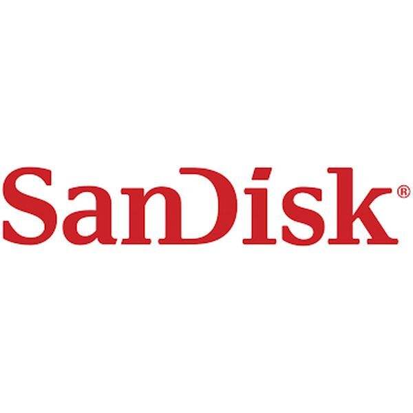 MD5811-D256-V3Q18-P/Y SanDisk