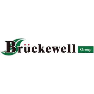 ESD5Z5C Bruckewell Technology LTD