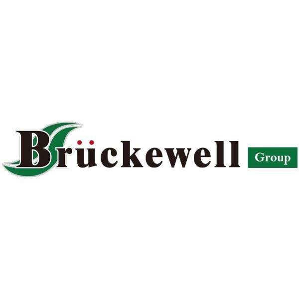 ESD5Z5C Bruckewell Technology LTD