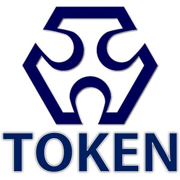 CS13 Token Electronics Industry Co., Ltd.