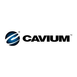 CN3860C-500BG1521-NSP-W Cavium