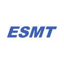 M12L128168A-6TIG2L ESMT