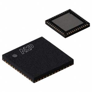 PTN3381BBS,518 NXP