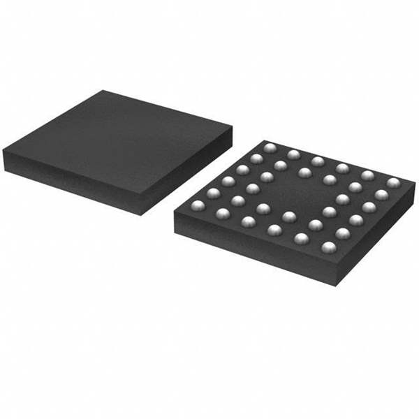 AK4958EG AKM Semiconductor Inc.