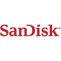 SDIN7DP2-4G SanDisk