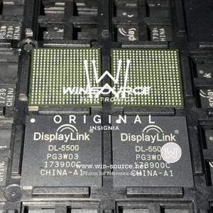 DL-5500 real image