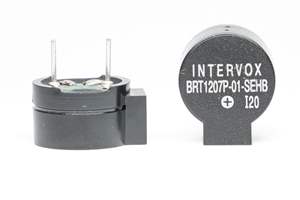 BRT1207P-01-SEHB 