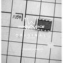 3296W-1-202LF real image273