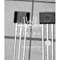 A1101EUA-T real image480
