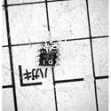 CY2305SXC-1 real image3135