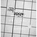 DS34LV86TM real image3674