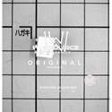 H11L1M real image4506