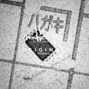 AT24CM01-SSHM-T real image15152