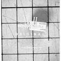 AGN20024 real image17472