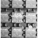 AT91SAM7S256D-MU real image17517