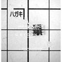 HI-8585PSI real image18047