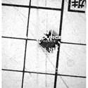 621MILFT real image20867