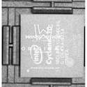 10CL006YU256C8G real image22876