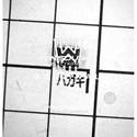 ADP2302ARDZ real image24876
