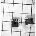 NJM072D real image4041