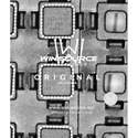 SGTL5000XNAA3 real image5357