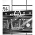 SN74LV273APWR real image6031