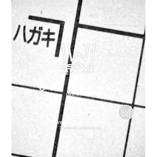 STMPS2151STR real image6892
