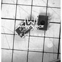 TOP256PN real image7773