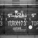 TORX173 real image7776