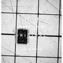 XCF01SVOG20C real image10120