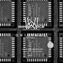XCR3064XL-10VQG44I real image10141