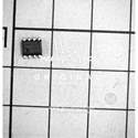 PIC12F1572-I/SN real image10931