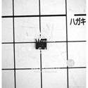 PIC16LF1847-I/MV real image10941