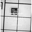 PIC16LF1824-I/ST real image12926