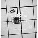SST25VF040B-50-4I-SAE real image13268