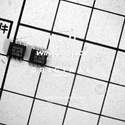 TJF1051T/3 real image14503