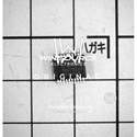 WM8782ASEDS real image16122