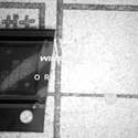 SN65DSI83ZXHR real image17707
