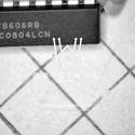 ADC0804LCN Real Image1