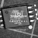AMC1301SDWVR Real Image1