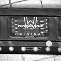 AMC1311DWV Real Image