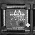 AT91SAM7S512B-AU Real Image