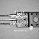C4793 Real Image2