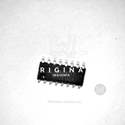 DG409DYZ Real Image2