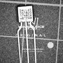 DS1820 Real Image5