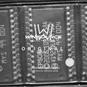 E09A7218A Real Image