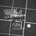 EM4095HMSO16A Real Image3