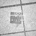 F2912NCGI Real Image2